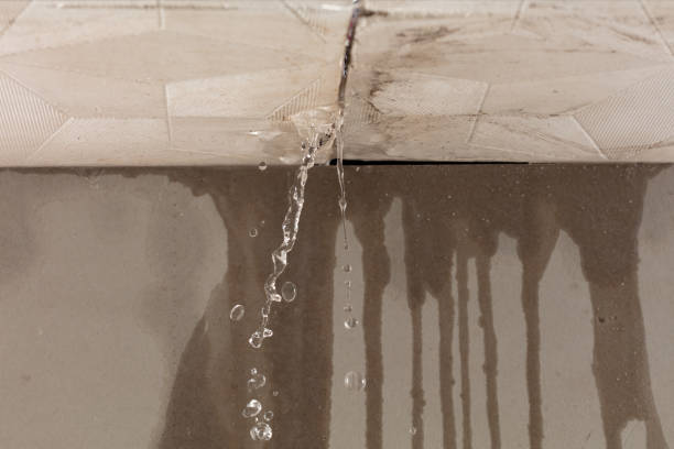 Professional Structural Drying technician working in New Vernon, NJ